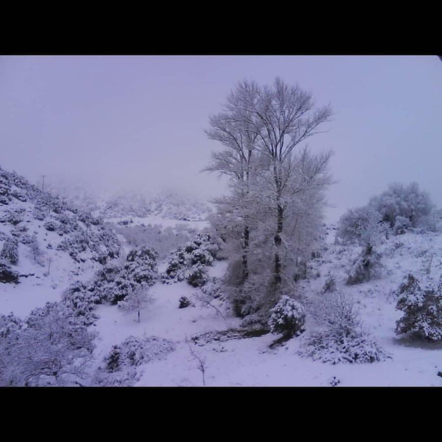 Villa Agno - Βίλα Αγνώ Ano Karies Экстерьер фото